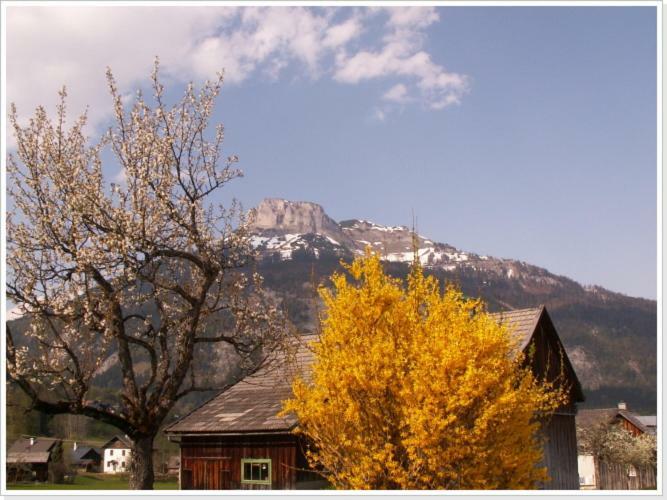 Ferienwohnung Haus Einhirn อัลท์เอาส์เซ ภายนอก รูปภาพ