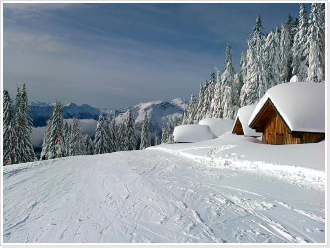 Ferienwohnung Haus Einhirn อัลท์เอาส์เซ ภายนอก รูปภาพ
