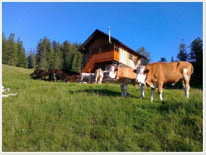Ferienwohnung Haus Einhirn อัลท์เอาส์เซ ภายนอก รูปภาพ